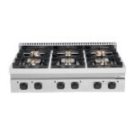 Gas Stove - 44kW - 6 Burners - Image 3